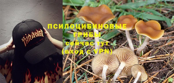шишки Балабаново