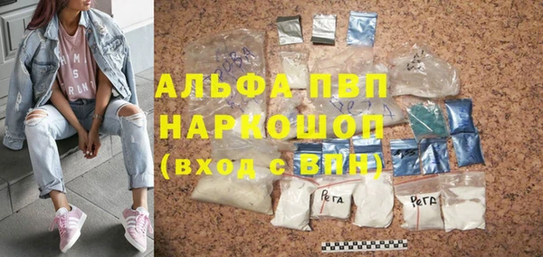 индика Балахна
