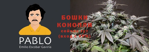 шишки Балабаново