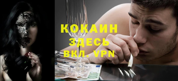 индика Балахна