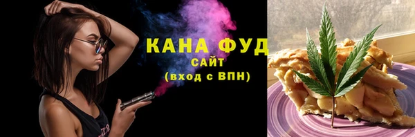 индика Балахна