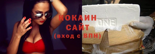 индика Балахна