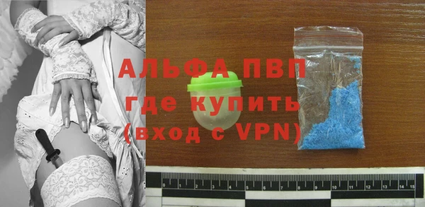 индика Балахна
