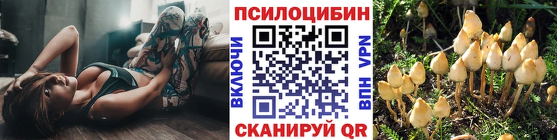 купить закладку  Усть-Илимск  Галлюциногенные грибы MAGIC MUSHROOMS 