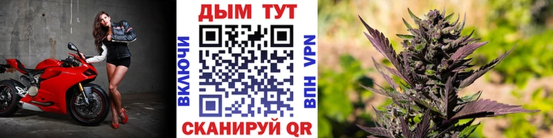 Канабис OG Kush  Усть-Илимск 